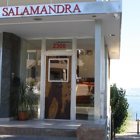 Salamandra Apartamentos إل كالافاتي المظهر الخارجي الصورة